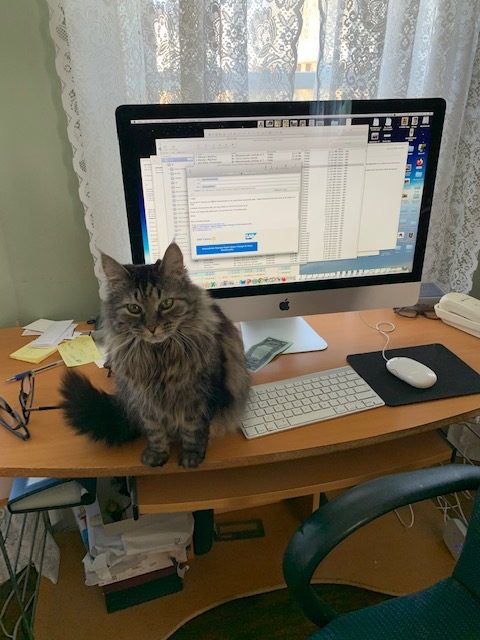 Denise J. MacPhail's working from home workspace