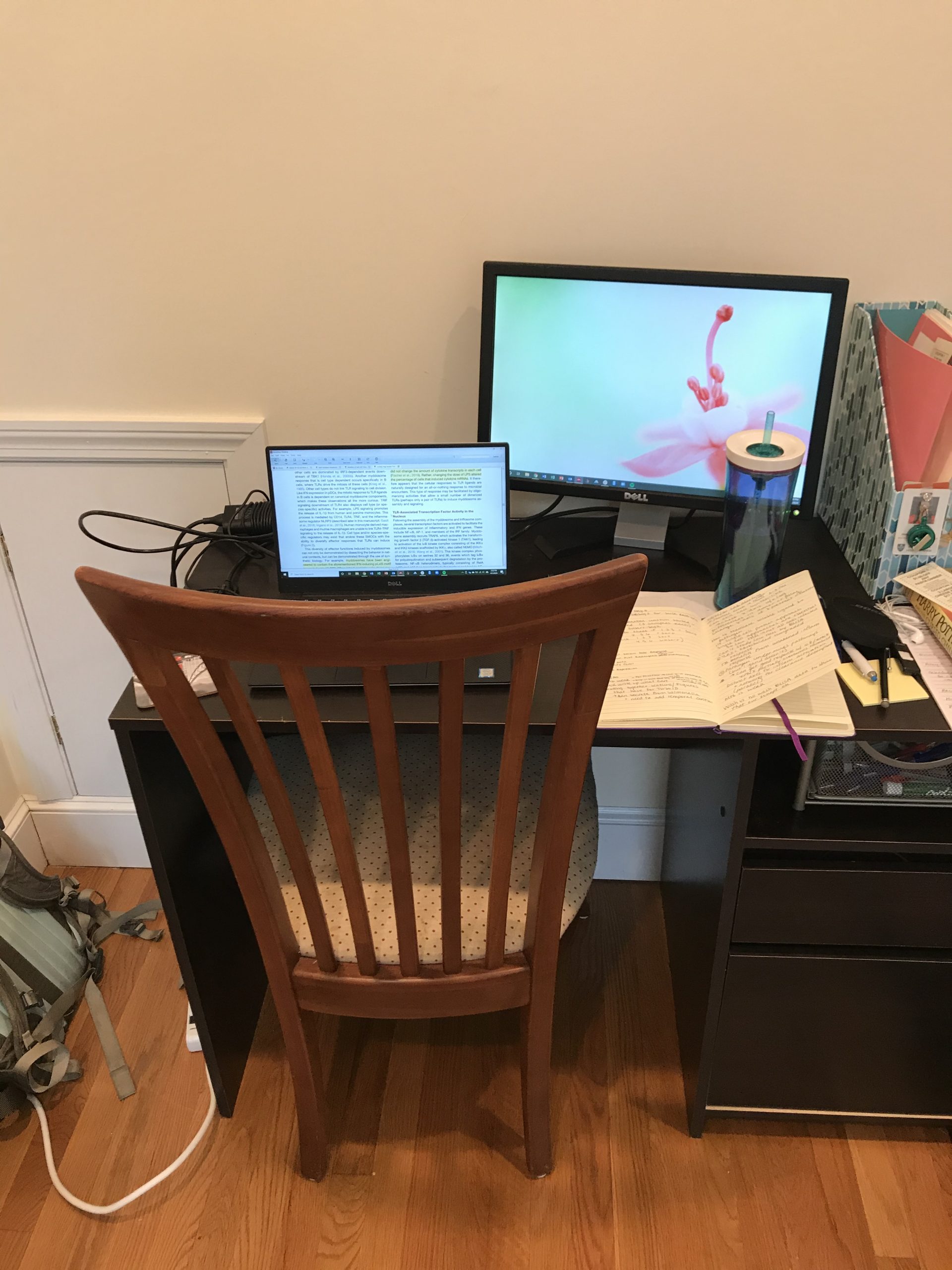 Sydney Solomon working from home workspace